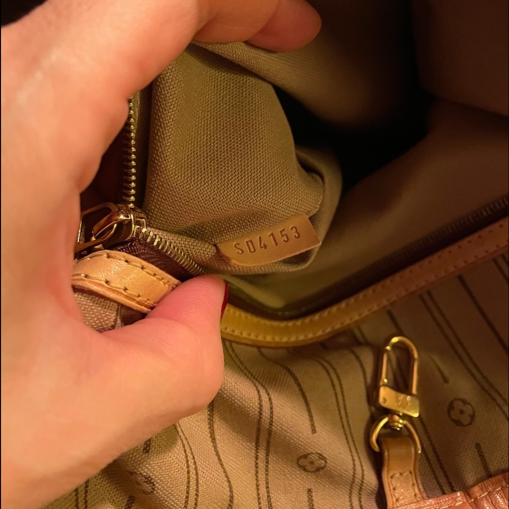 Louis Vuitton Delightful bag